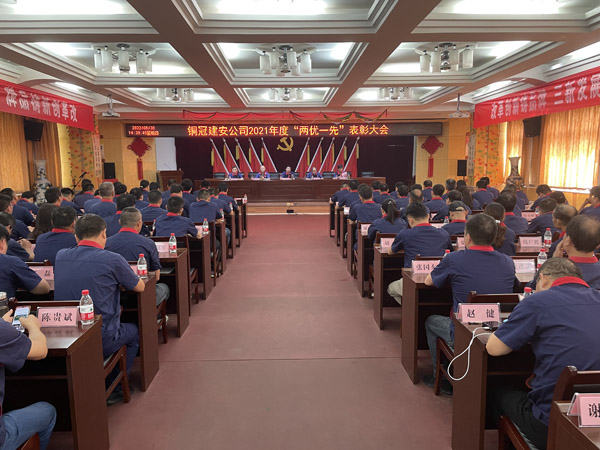 公司召开“两优一先”表彰大会